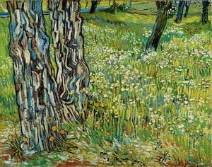 vincent willem van gogh - Tree trunks in the grass