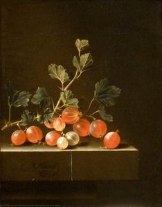 Gooseberries On A Table — Adriaen Coorte