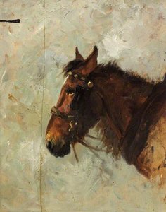 Sketch Of Horse's Head — Lucy Elizabeth Kemp-welch