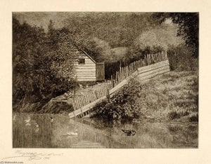 A Duck Pond