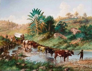 Thomas Baines - Wagon Crossing A Drift - Natal