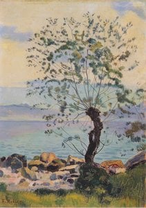 Willow Tree By The Lake — Фердинанд Хёдлер, Post-impressionist Landscape