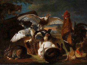 david de coninck