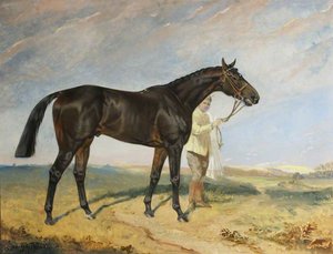 'columcille', A Dark Bay Racehorse, Held By A Groom In A Landscape — James Lynwood Palmer