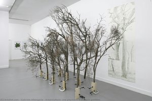 Arboriculture, Une Pépinière D’espèces Greffées — Gabriela Albergaria