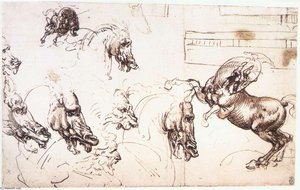 Leonardo Da Vinci - Onderzoek Naar Paarden Voor De Slag Bij Anghiari