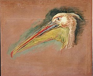 Tête De Pélican — 彼得·布尔