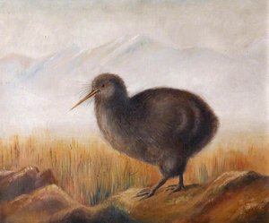 A Kiwi In A Landscape — Rosalie Chichester