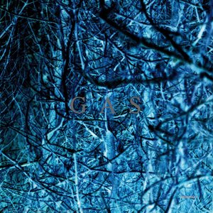Gas: Nah Und Fern — Wolfgang Voigt