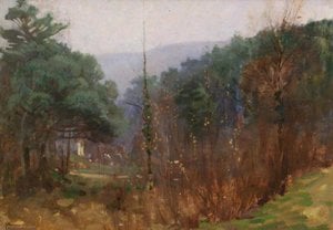 Benjamin Haughton - Devon Pinewood