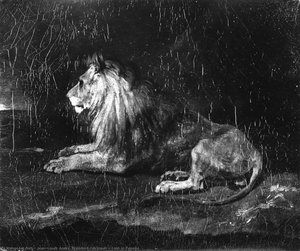 Teodoro Géricault - Lion in Repose