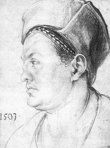 Ritratto Monocromatico Di Willibald Pirckheimer — Albrecht Dürer