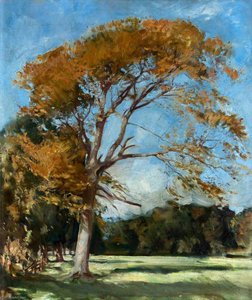 The Yellow Tree — William Bruce Ellis Ranken