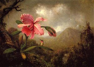 Martin Johnson Heade - Orchid and Hummingbird near a Mountain Waterfall