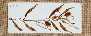 Spirit Of The Olive Tree Series Of 6 — 그라사 모라이스 고이