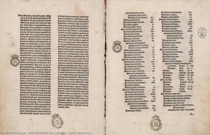 Elio Antonio De Nebrija - Latin Grammar