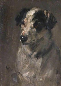 Head Of A Jack Russell Terrier — Robert L Alexander