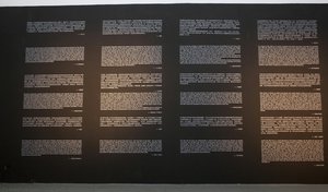 Zhu Wei - Exhibition Scene
