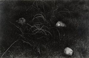 Rocks and Grasses, Wisconsin