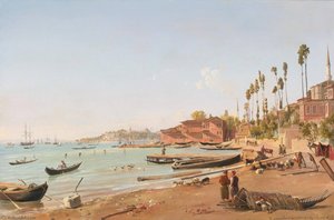 View Of Istanbul — Frans Vervloet