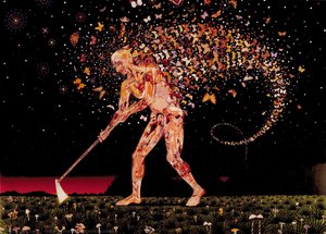 Field Guides — Fred Tomaselli