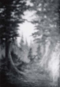 Autumn Woods, (painting) — Von Luerzer
