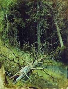 In The Fir Forest — Ivan Ivanovich Shishkin, Realism