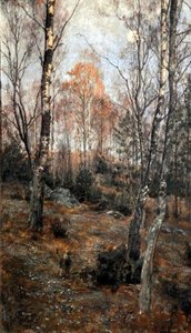 Forest Landscape — Johan Krouthén