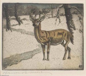 Deer — Benson B Moore