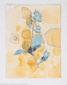 andrew rewald - Old Man salt Bush