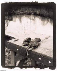 Hudson, New York — Andrea Modica