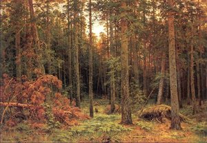 Ivan Ivanovich Shishkin - Pinienwald