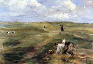 Digging for Potatoes in the Dunes at Zandvoort