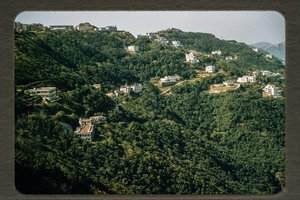 The Peak — Milton Peter Barrett