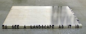 roni horn - Thicket No. 1