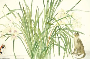 Cats and Orchids
