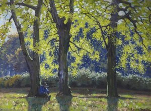 Sunny Woodlands — Thomas Corsan Morton