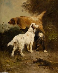 Henry Schouten