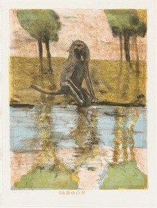 Baboon