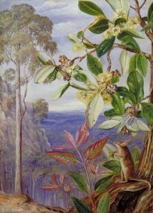 Vista Sobre Las Montañas Azules Hacia El Mar, Nueva Gales Del Sur — Marianne North, Naturalismo Victoriano