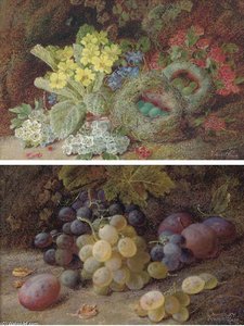 Primroses, Apple-blossom And A Bird's Nest On A Mossy Bank; And Grapes And Plums On A Mossy Bank
