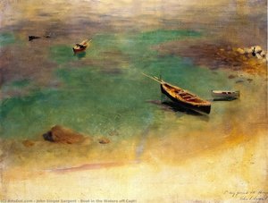 Barca sulle Acque al di Fuori di Capri