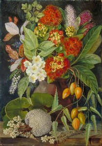Fiori e Frutti della Nuova Zelanda - Marianne North
