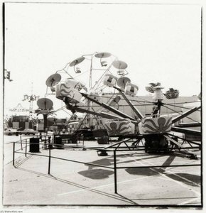 Long Beach Pike (octopus) — Judy Fiskin