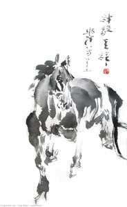 Yuan Xikun - Lucky Horse