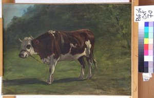 Etude De Boeuf Normand Etude D'un Boeuf Avec Entrave (autre Titre) — Paul Huet
