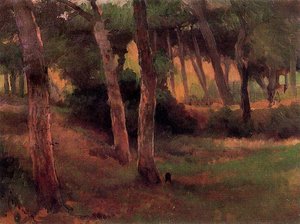Landscape 2 — Josep Cusachs I
