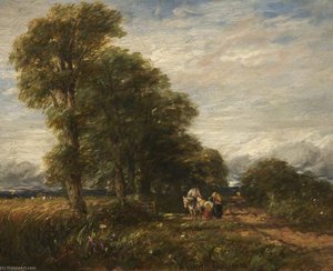 Lane near Rowley Regis