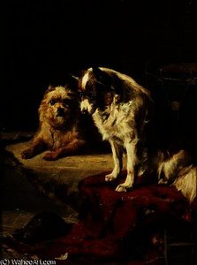 Dogs And A Tortoise
