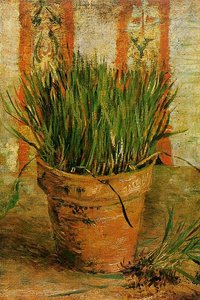 Vincent Willem Van Gogh - Flowerpot With Chives